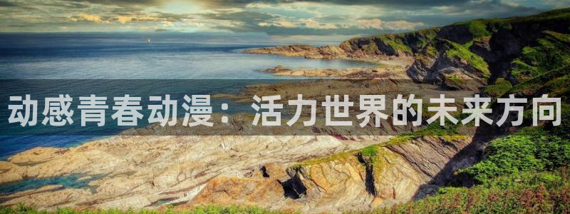 囧次元新版：动感青春动漫：活力世界的未来方向