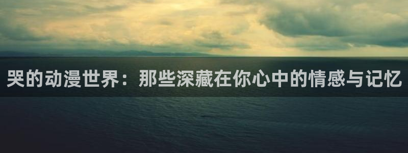 囧次元是哪个公司的：哭的动漫世界：那些深藏在你心中的情感与记忆