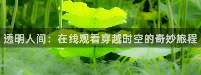 囧次元为什么打不开了：透明人间：在线观看穿越时空的奇妙旅程